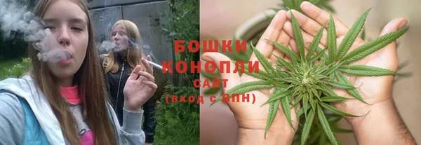 сатива Абаза