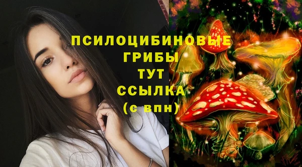 сатива Абаза