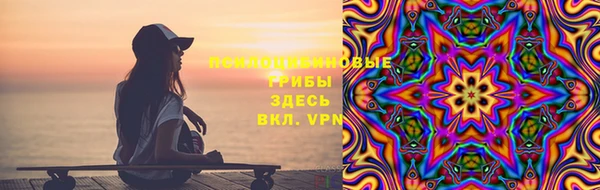 мдпв Абинск